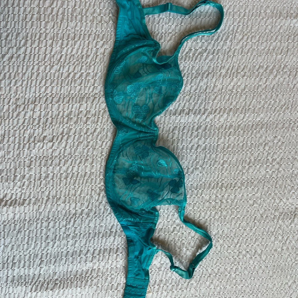 La SENZA Turquoise Bra 34DD sheer